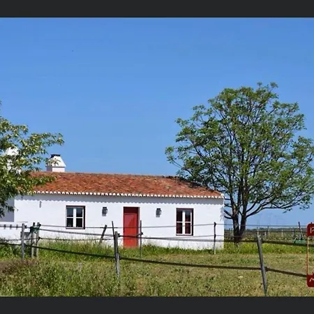 Monte Da Boavista - Country Family House Villa Alter do Chao Exterior photo