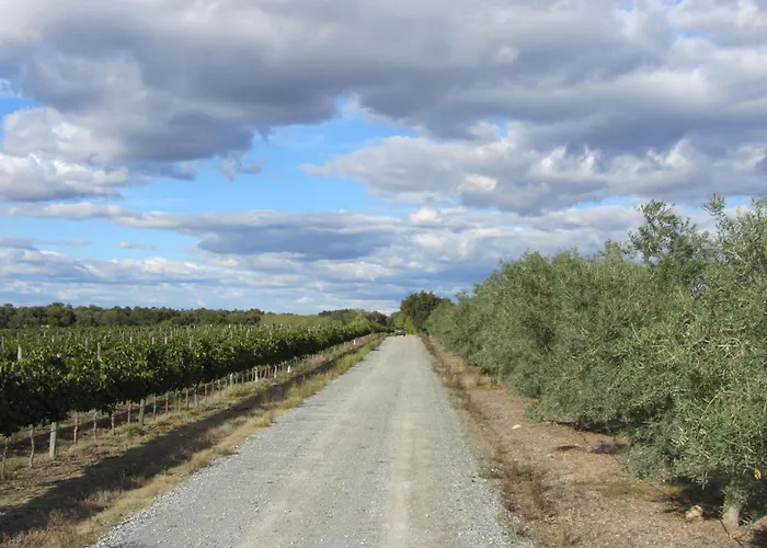 Monte Da Boavista - Country Family House
