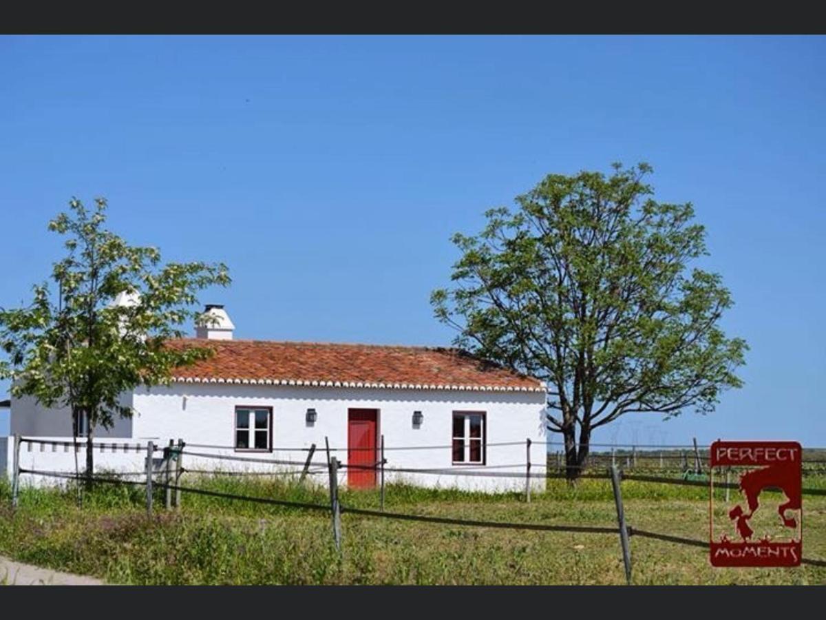 Monte Da Boavista - Country Family House Alter do Chao