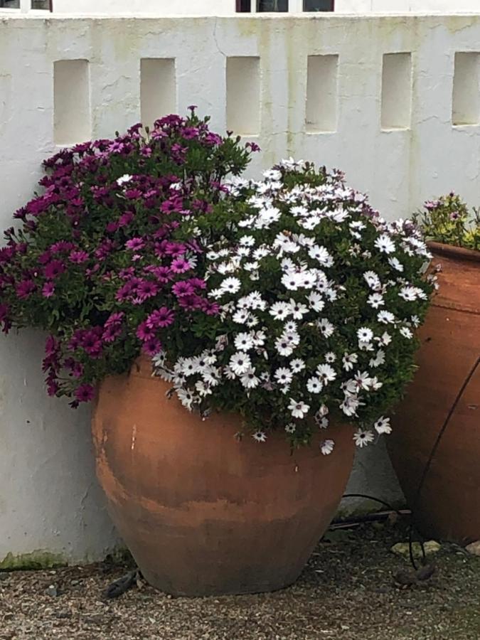 Holiday home Monte Da Boavista - Country Family House *