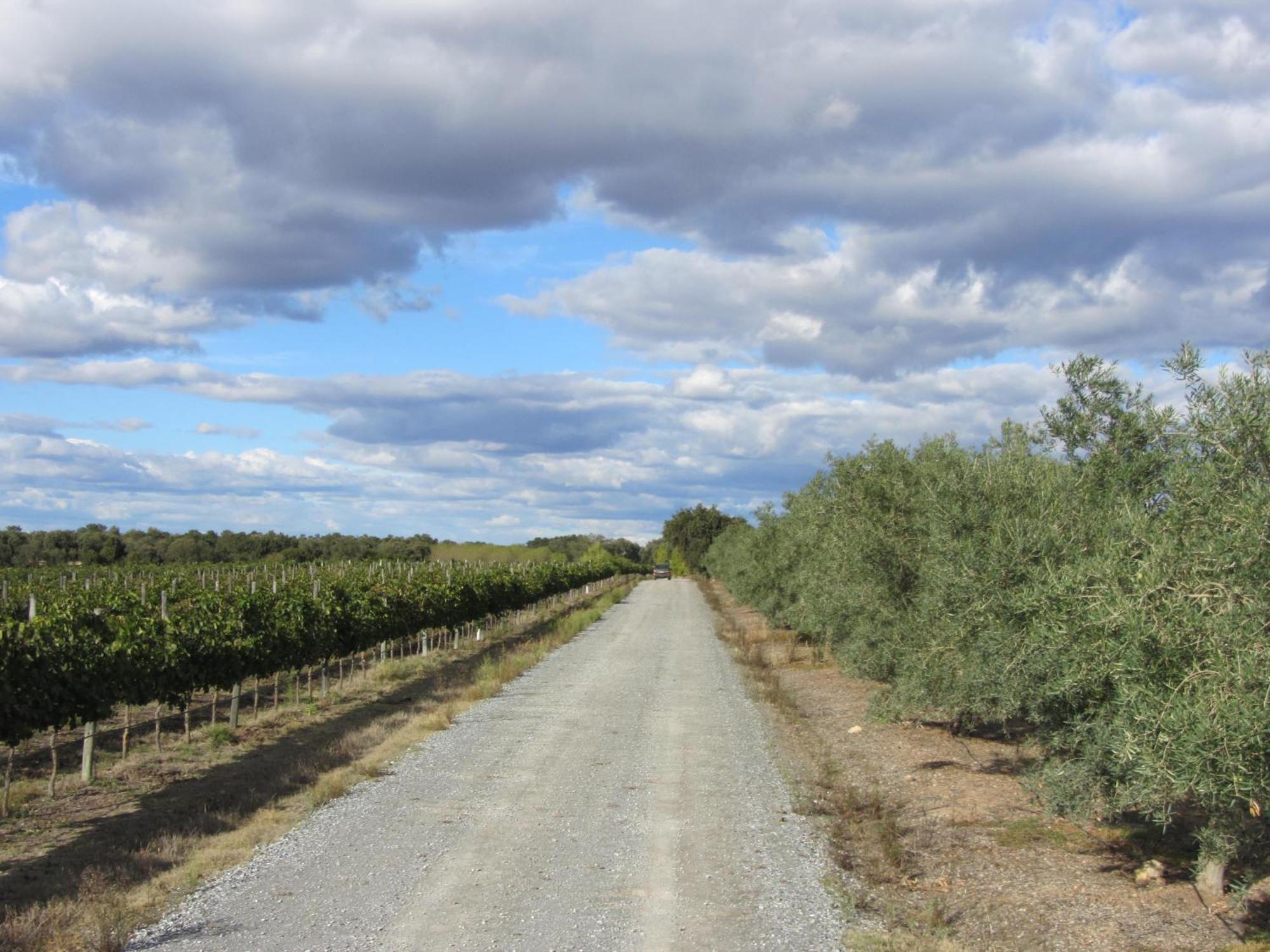 Holiday home Monte Da Boavista - Country Family House