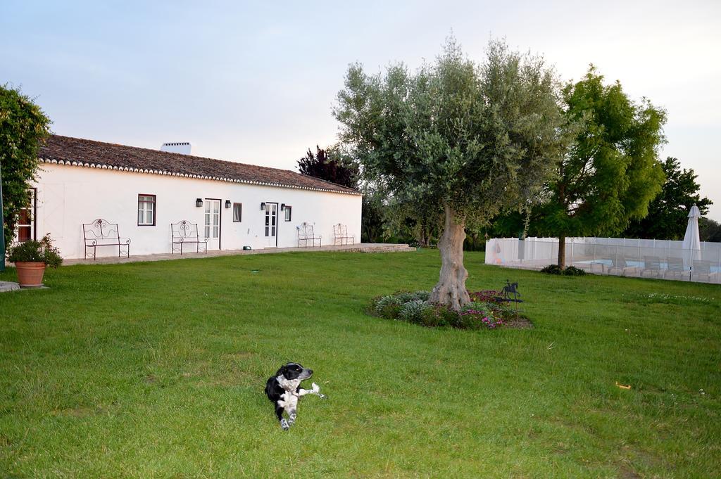 Holiday home Monte Da Boavista - Country Family House