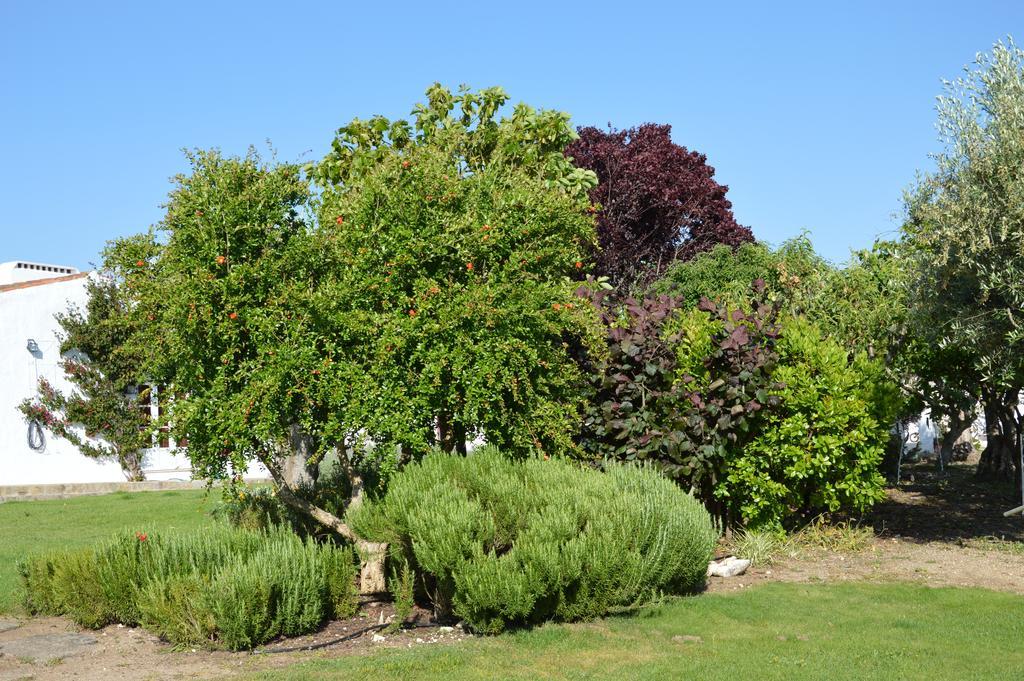 Holiday home Monte Da Boavista - Country Family House *