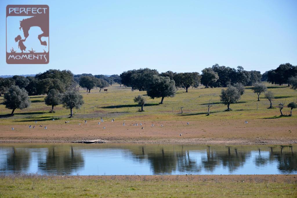 Monte Da Boavista - Country Family House *