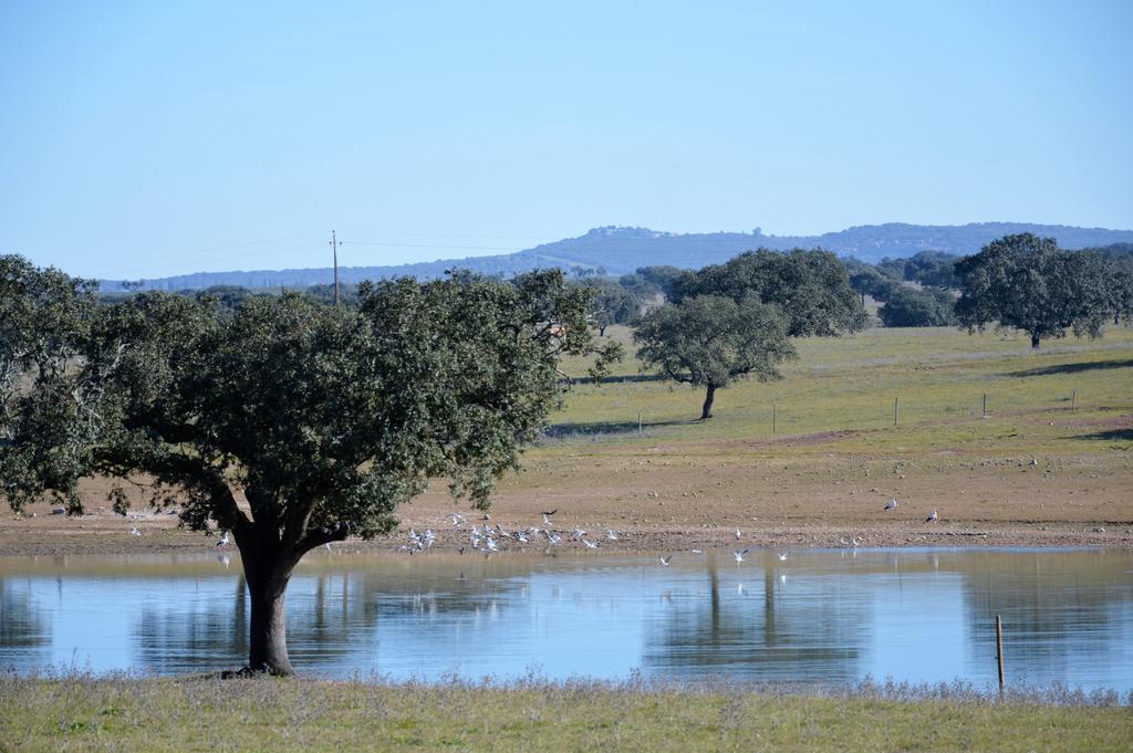 Monte Da Boavista - Country Family House Holiday home *