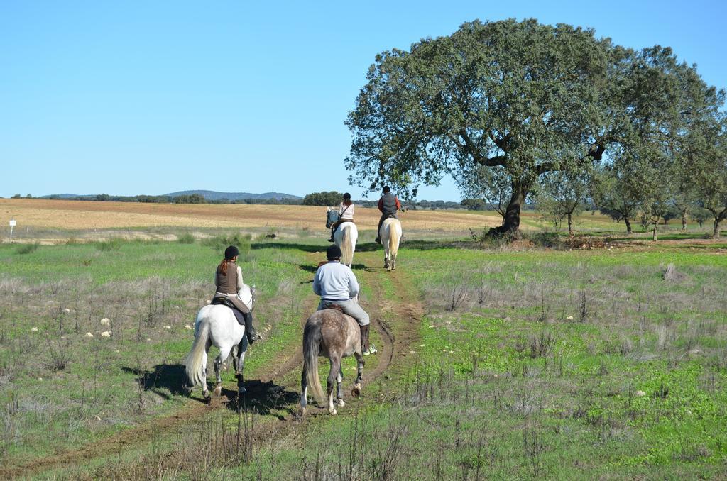 Monte Da Boavista - Country Family House Holiday home *